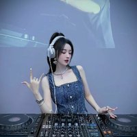 野狼Disco蒸汽波DJ-東北澡堂搓背專用2025混音