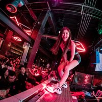 明星dj果凍車載音樂