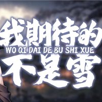 我期待的不是雪 dj抖音歌曲合集完整版mp3免費(fèi)下載